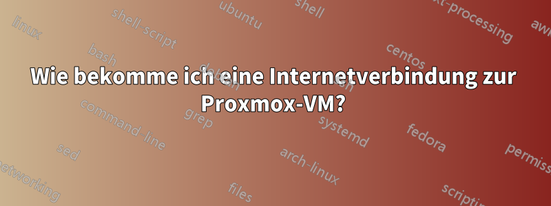 Wie bekomme ich eine Internetverbindung zur Proxmox-VM?