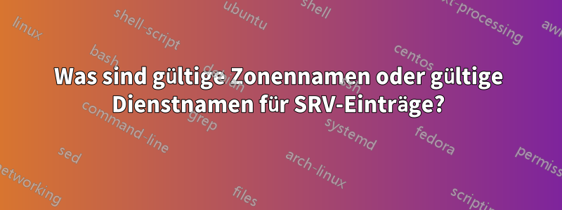 Was sind gültige Zonennamen oder gültige Dienstnamen für SRV-Einträge?