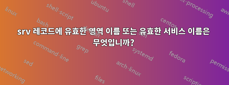 srv 레코드에 유효한 영역 이름 또는 유효한 서비스 이름은 무엇입니까?