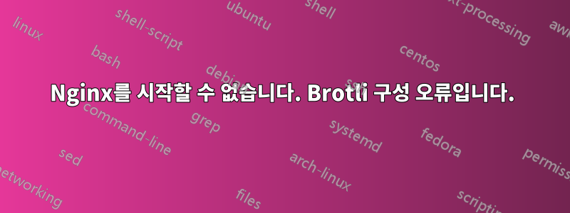 Nginx를 시작할 수 없습니다. Brotli 구성 오류입니다.