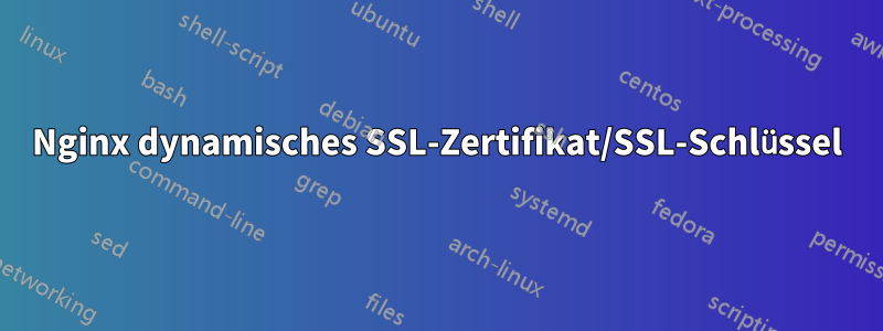 Nginx dynamisches SSL-Zertifikat/SSL-Schlüssel