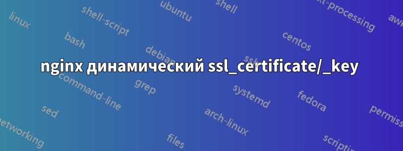 nginx динамический ssl_certificate/_key