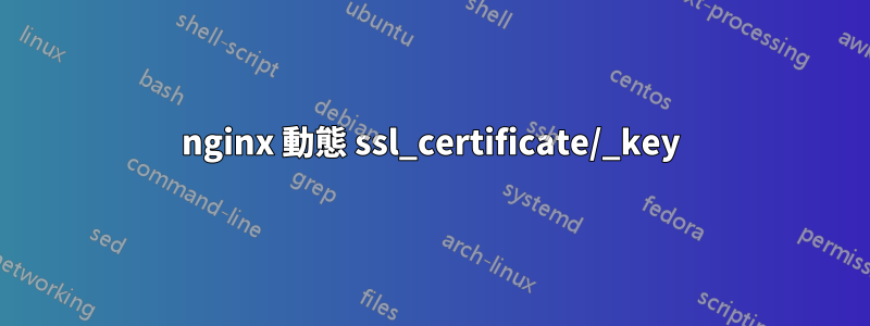 nginx 動態 ssl_certificate/_key