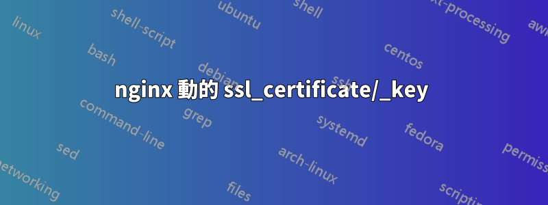 nginx 動的 ssl_certificate/_key