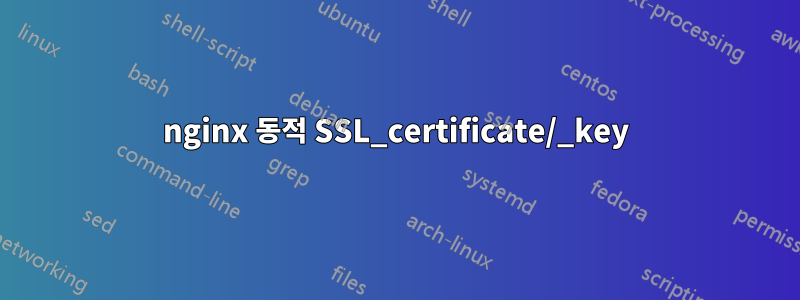 nginx 동적 SSL_certificate/_key