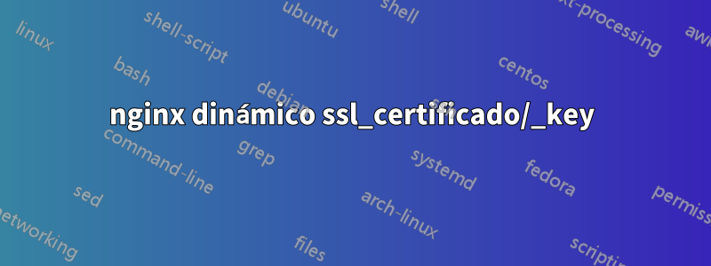 nginx dinámico ssl_certificado/_key