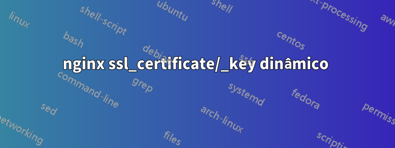 nginx ssl_certificate/_key dinâmico