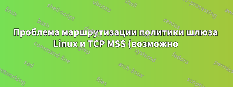 Проблема маршрутизации политики шлюза Linux и TCP MSS (возможно)?