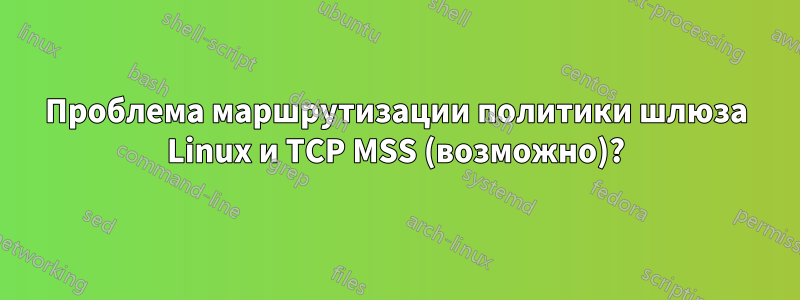 Проблема маршрутизации политики шлюза Linux и TCP MSS (возможно)?