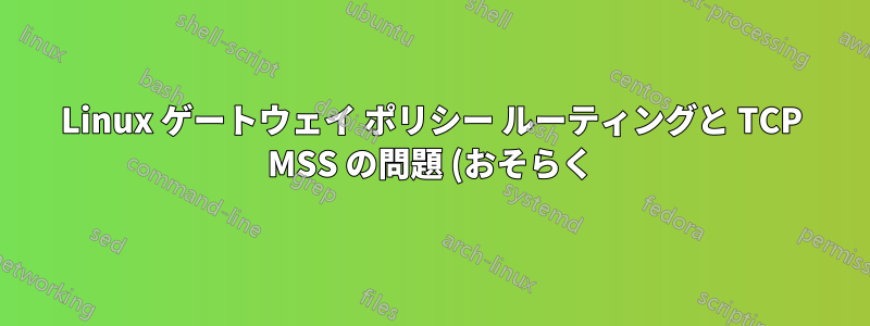 Linux ゲートウェイ ポリシー ルーティングと TCP MSS の問題 (おそらく)?