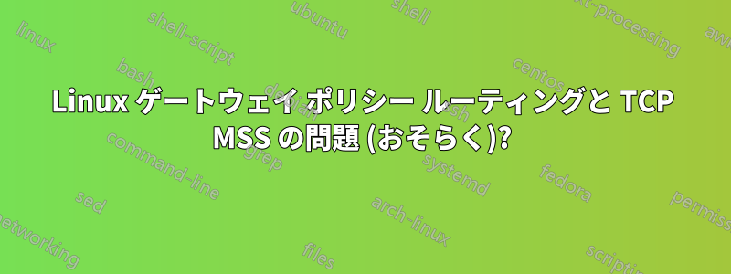 Linux ゲートウェイ ポリシー ルーティングと TCP MSS の問題 (おそらく)?