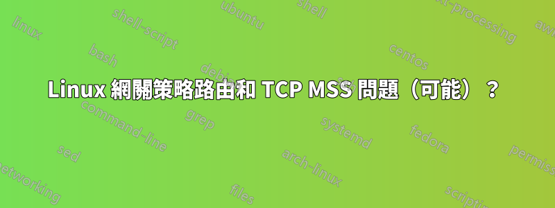 Linux 網關策略路由和 TCP MSS 問題（可能）？