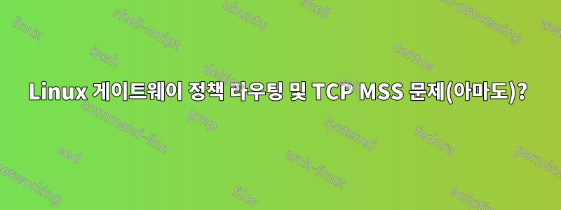 Linux 게이트웨이 정책 라우팅 및 TCP MSS 문제(아마도)?