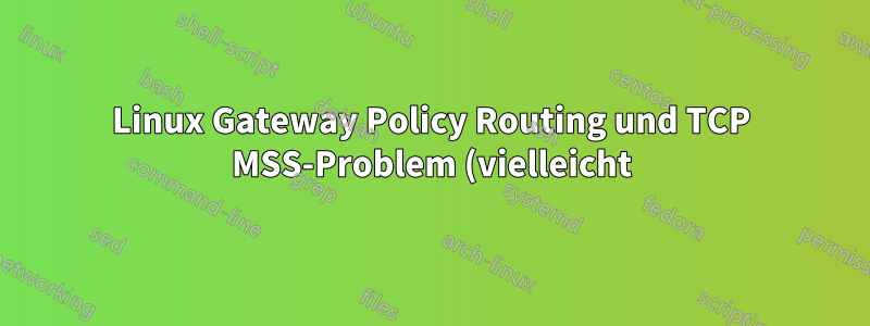 Linux Gateway Policy Routing und TCP MSS-Problem (vielleicht)?