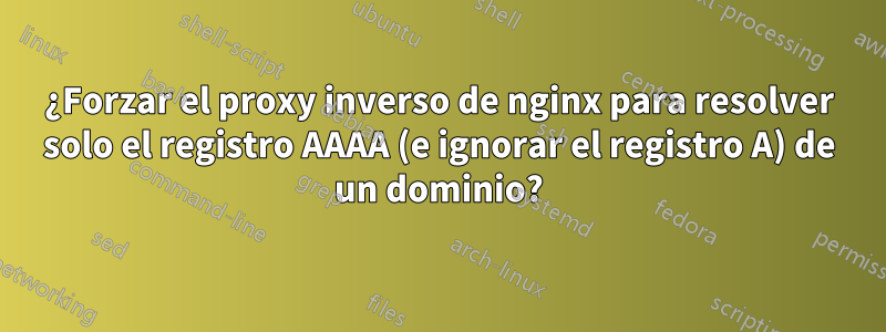 ¿Forzar el proxy inverso de nginx para resolver solo el registro AAAA (e ignorar el registro A) de un dominio?