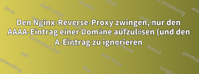 Den Nginx-Reverse-Proxy zwingen, nur den AAAA-Eintrag einer Domäne aufzulösen (und den A-Eintrag zu ignorieren)?