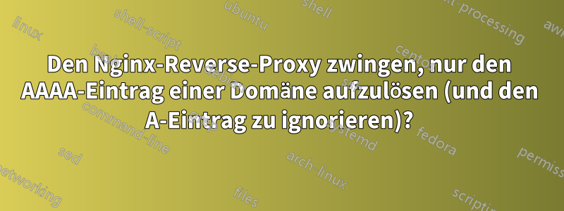 Den Nginx-Reverse-Proxy zwingen, nur den AAAA-Eintrag einer Domäne aufzulösen (und den A-Eintrag zu ignorieren)?