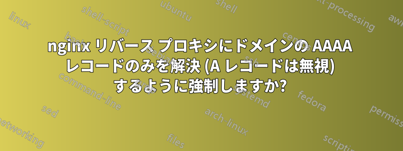 nginx リバース プロキシにドメインの AAAA レコードのみを解決 (A レコードは無視) するように強制しますか?