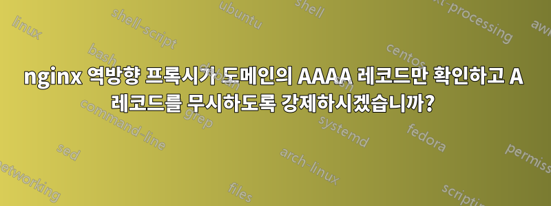 nginx 역방향 프록시가 도메인의 AAAA 레코드만 확인하고 A 레코드를 무시하도록 강제하시겠습니까?