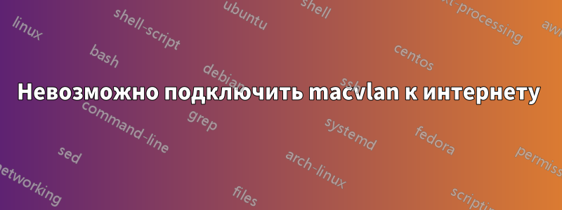 Невозможно подключить macvlan к интернету