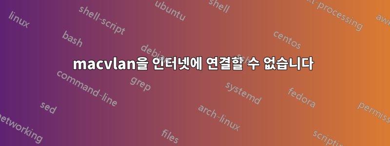 macvlan을 인터넷에 연결할 수 없습니다