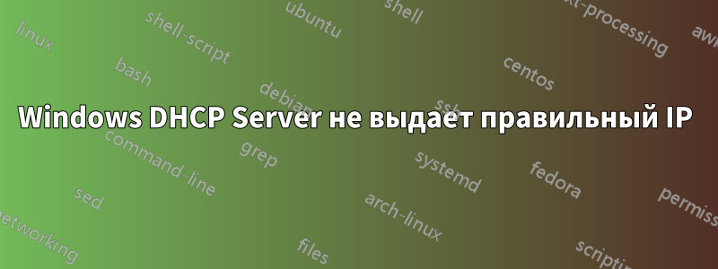 Windows DHCP Server не выдает правильный IP