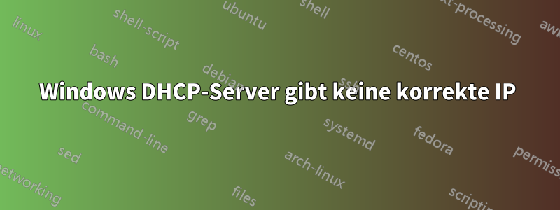 Windows DHCP-Server gibt keine korrekte IP