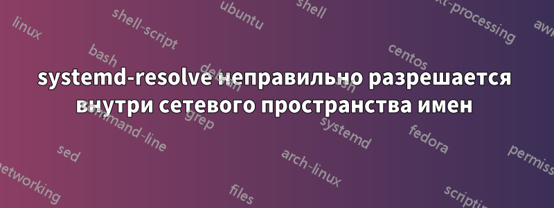 systemd-resolve неправильно разрешается внутри сетевого пространства имен