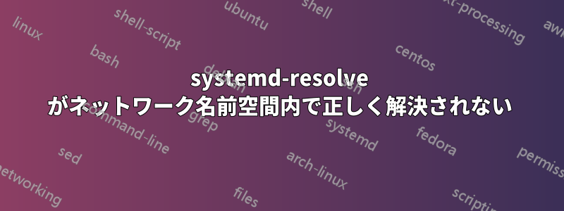 systemd-resolve がネットワーク名前空間内で正しく解決されない