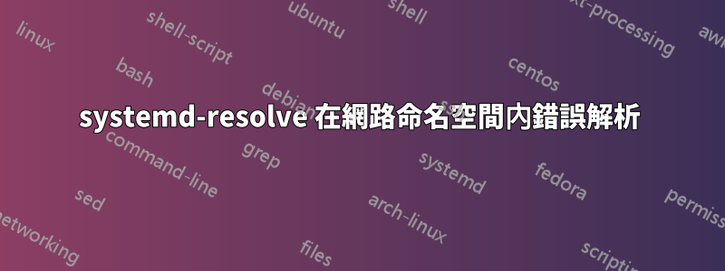 systemd-resolve 在網路命名空間內錯誤解析