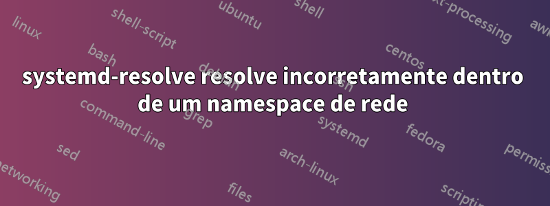 systemd-resolve resolve incorretamente dentro de um namespace de rede