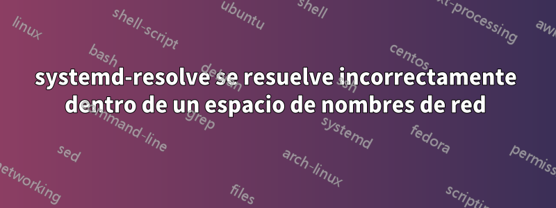 systemd-resolve se resuelve incorrectamente dentro de un espacio de nombres de red