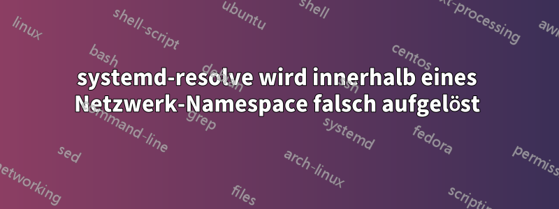 systemd-resolve wird innerhalb eines Netzwerk-Namespace falsch aufgelöst