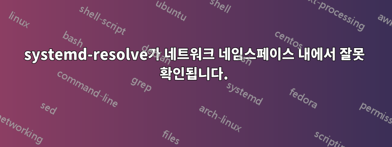 systemd-resolve가 네트워크 네임스페이스 내에서 잘못 확인됩니다.