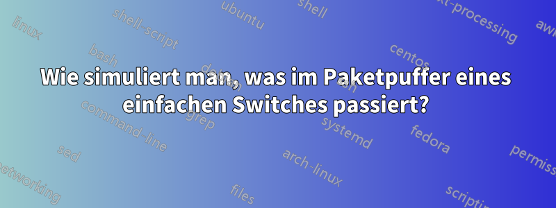 Wie simuliert man, was im Paketpuffer eines einfachen Switches passiert?