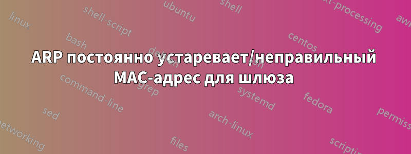 ARP постоянно устаревает/неправильный MAC-адрес для шлюза