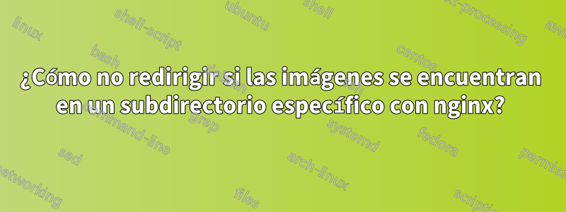 ¿Cómo no redirigir si las imágenes se encuentran en un subdirectorio específico con nginx?