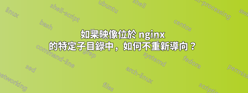 如果映像位於 nginx 的特定子目錄中，如何不重新導向？