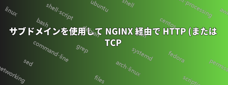 サブドメインを使用して NGINX 経由で HTTP (または TCP) リクエストを特定のポートに転送する
