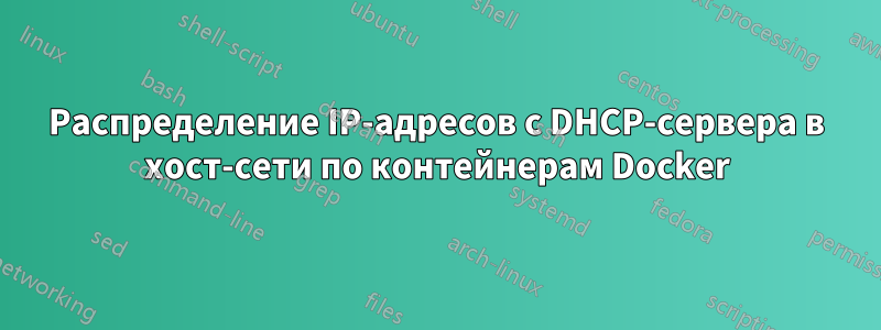 Распределение IP-адресов с DHCP-сервера в хост-сети по контейнерам Docker