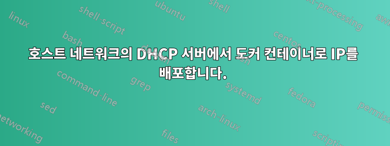 호스트 네트워크의 DHCP 서버에서 도커 컨테이너로 IP를 배포합니다.