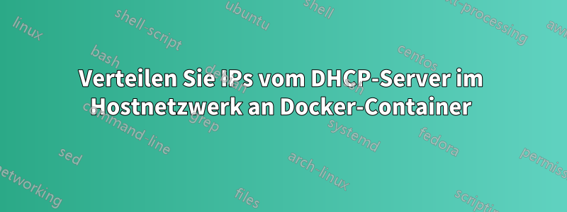 Verteilen Sie IPs vom DHCP-Server im Hostnetzwerk an Docker-Container