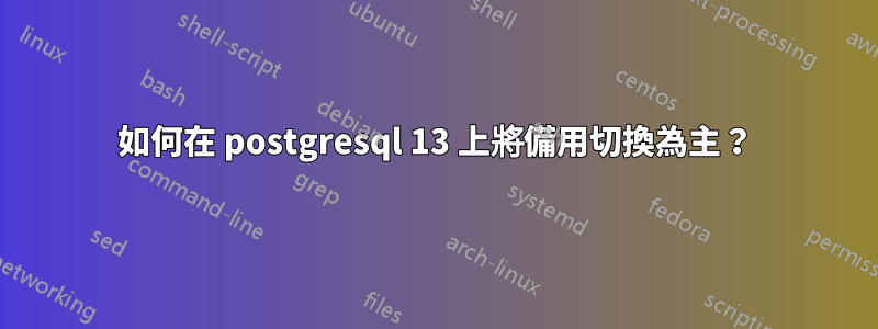 如何在 postgresql 13 上將備用切換為主？