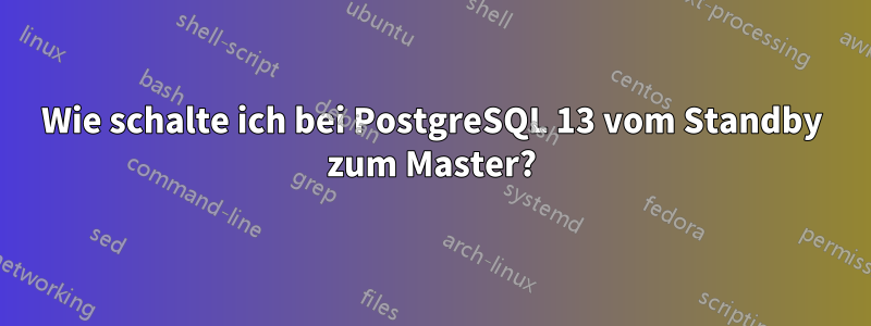 Wie schalte ich bei PostgreSQL 13 vom Standby zum Master?