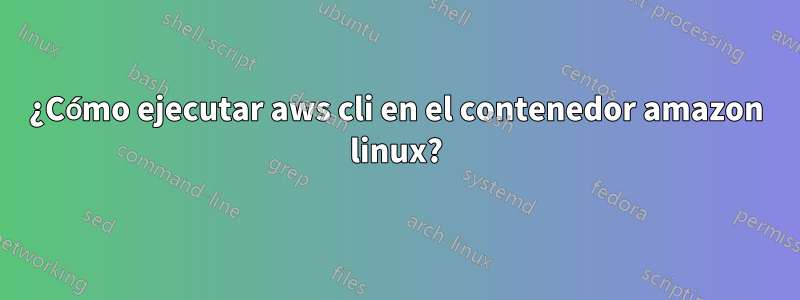 ¿Cómo ejecutar aws cli en el contenedor amazon linux?