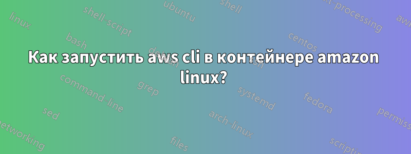 Как запустить aws cli в контейнере amazon linux?