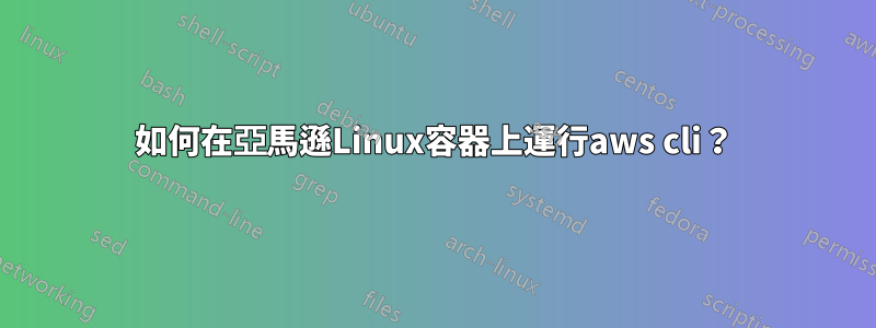 如何在亞馬遜Linux容器上運行aws cli？