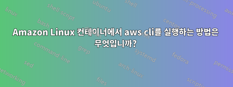 Amazon Linux 컨테이너에서 aws cli를 실행하는 방법은 무엇입니까?