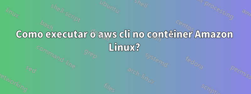 Como executar o aws cli no contêiner Amazon Linux?