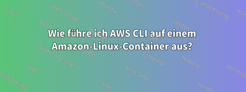 Wie führe ich AWS CLI auf einem Amazon-Linux-Container aus?